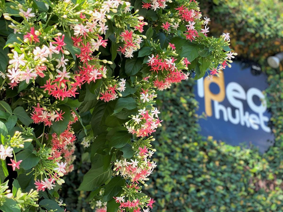 Ideo Phuket Hotel Nai Yang Ngoại thất bức ảnh